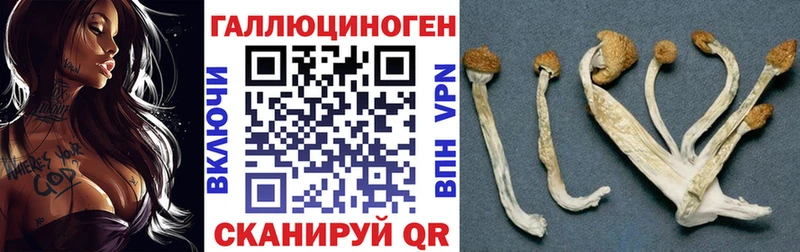 Галлюциногенные грибы GOLDEN TEACHER купить наркотик Кущёвская
